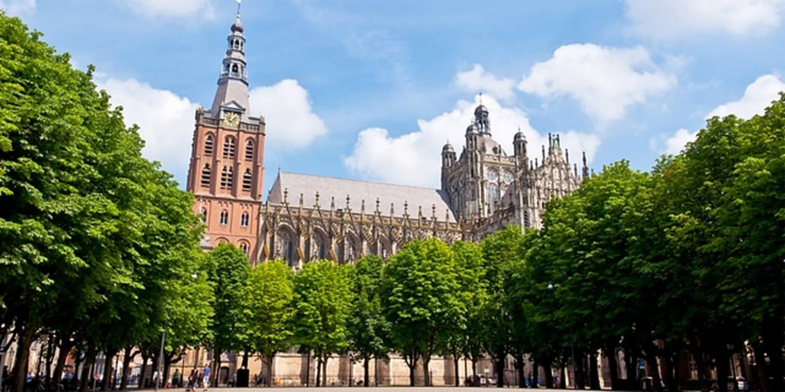 zonnepanelen in Den Bosch